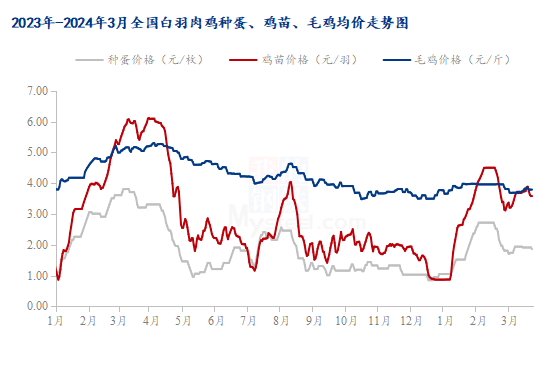 家禽鸡最新走势与趋势预测