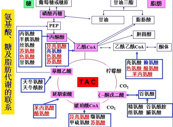 2024年11月26日 第3页