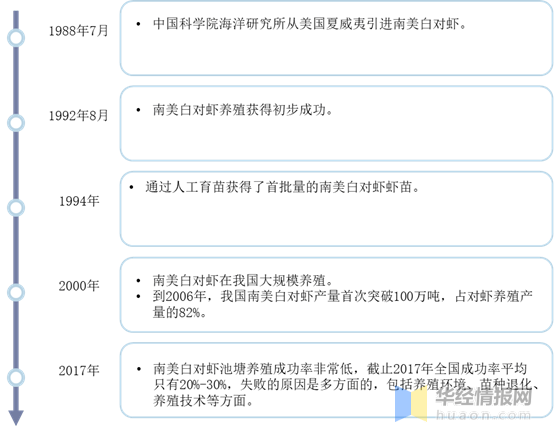 对虾养殖最新动态观察与解读