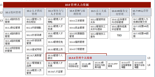 人力资源管理软件最新概览与全面解读