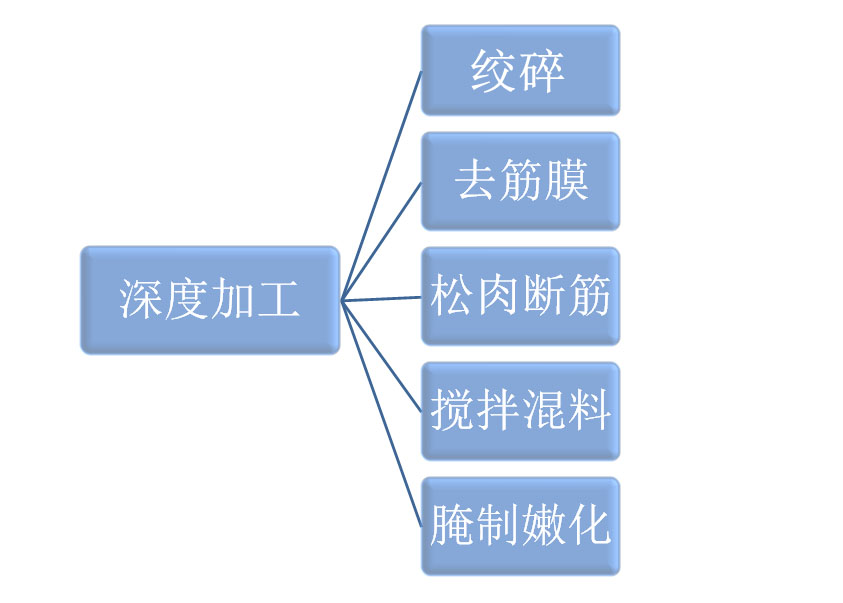 特殊肉类加工机械最新动态与成就探秘