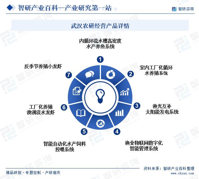 包装辅助机械最新概览与全面解读