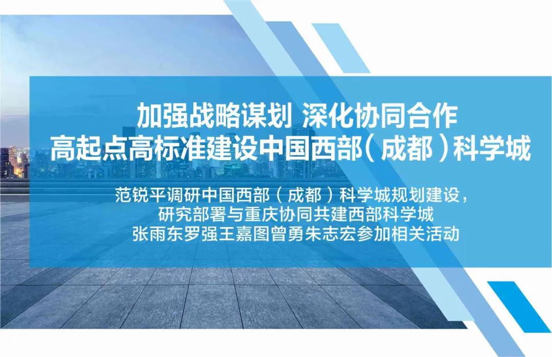 销子交集与合作，探究企业协同发展的核心要素与策略