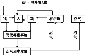 分离细胞的离心机