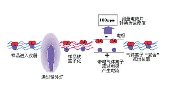 静电环监测仪